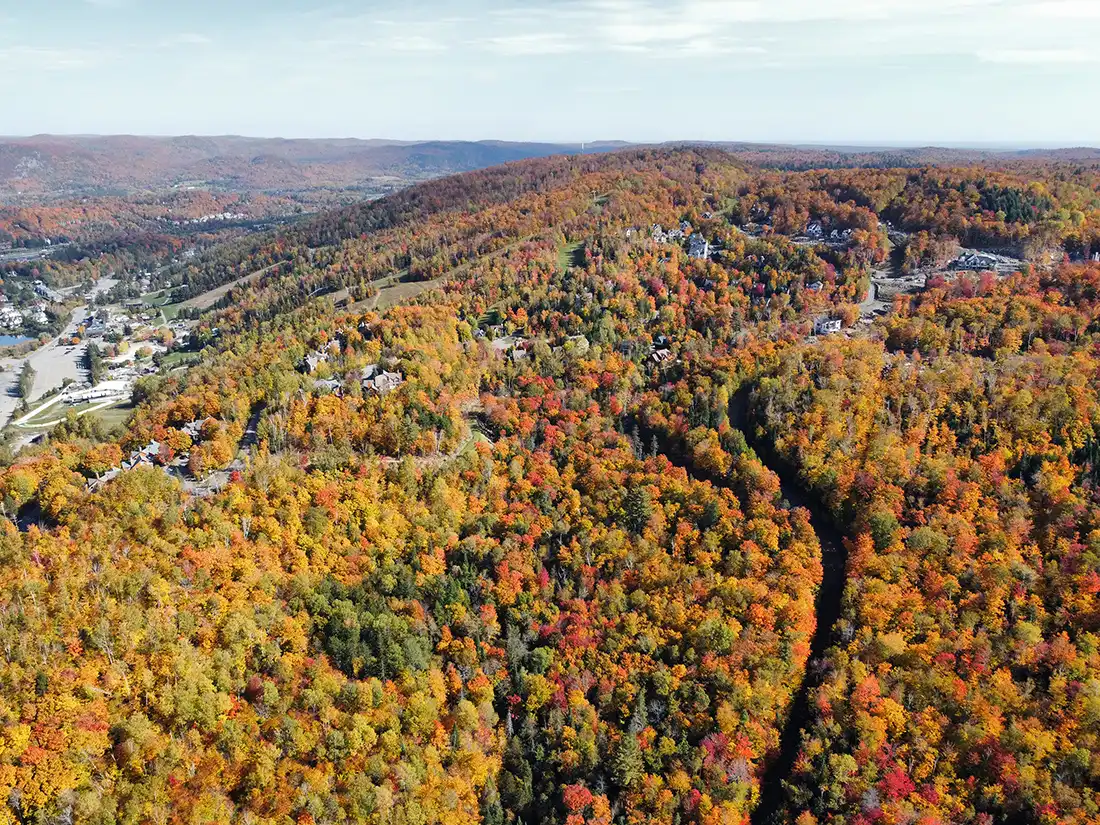 Services | Développement de terrains | Domicil
