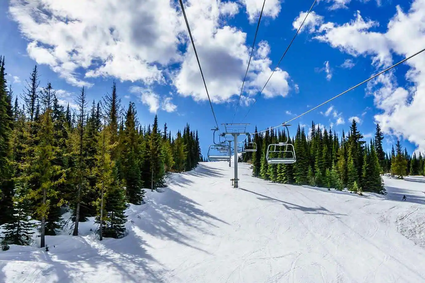 Le Norden | Projet immobilier à Saint-Sauveur | Domicil