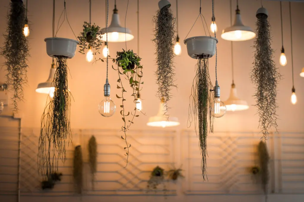 Blog | Les tendances déco 2019 à adopter | Inspiration Amérique Centrale
