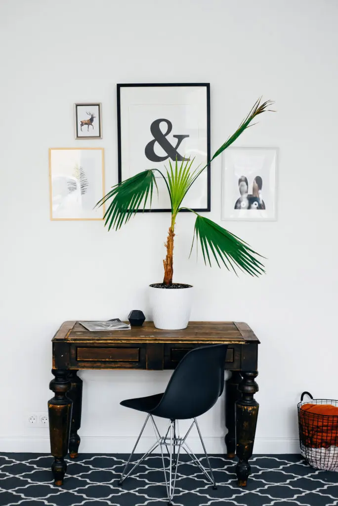Blog | Les tendances déco 2019 à adopter | Japandi